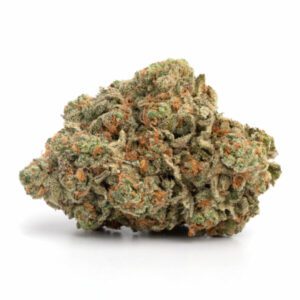 Biscotti Weed Strain Adelaide