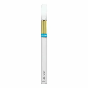 Boost Disposable THC Vape Pen – 1g