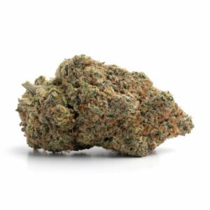 Cheesewreck Cannabis Strain Armidale