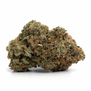 Comatose Marijuana Strain Sydney