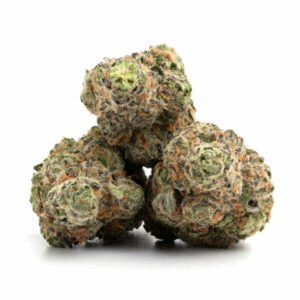 Frosted Fruit Cake Marijuana Strain Darwin