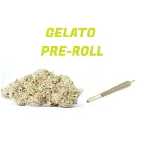 Gelato Strain (AAAA) Weed Pre-rolled Joint