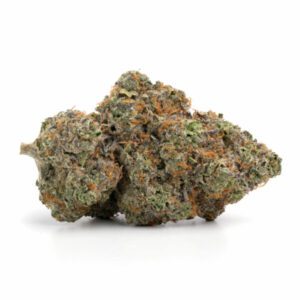 Grand Daddy Purple Cannabis Sunshine-Coast