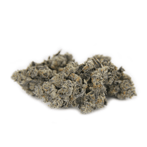 Grape Gasoline Indica Weed Strain Darwin