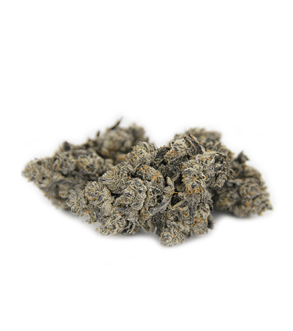 Grape Gasoline Indica Weed Strain Darwin