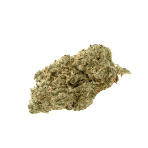 Headband Hybrid Cannabis Strain Armidale