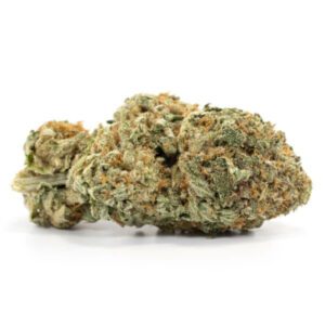 Jack Diesel Marijuana Strain Gold Coast
