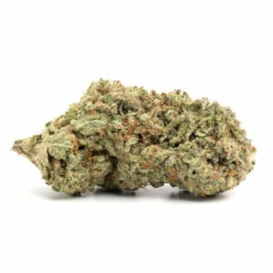 Jack Herer Cannabis Strain Geelong