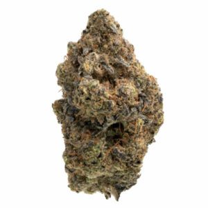 Lemon Larry OG Marijuana Strain Brisbane