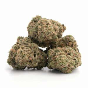 Meat Breath Weed Strain Hobart