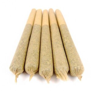 Miracle Alien Cookies (AAAA) Weed Pre-rolled Joint