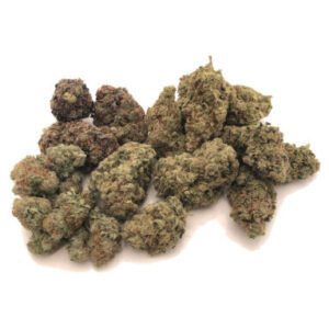 Mixed buds Marijuana Strain Darwin