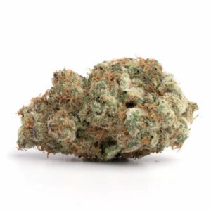 Permafrost Sativa Marijuana Strain Albury