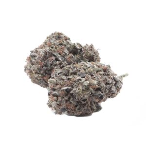 Purple Haze Hybrid Cannabis Strain Sydney