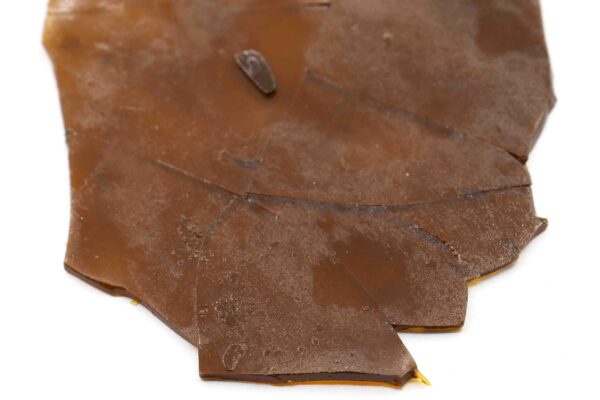 Purple Kush Cannabis Shatter Concentrate