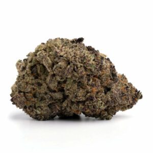 Purple Punch Cannabis Strain Adelaide