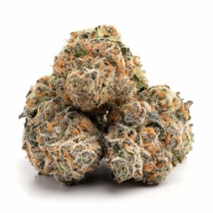 Shishkaberry Marijuana Strain Newcastle