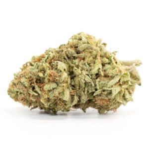 Viper Sativa Cannabis Strain Sydney