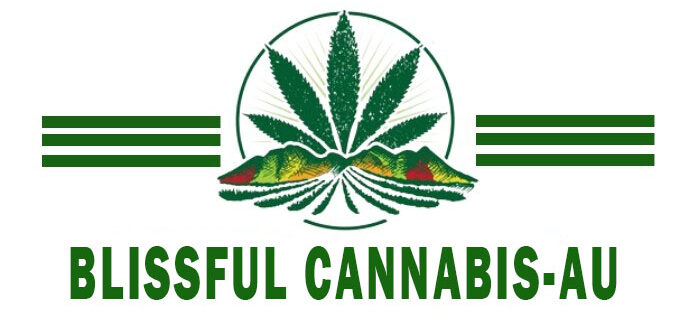 Blissful Cannabis AU