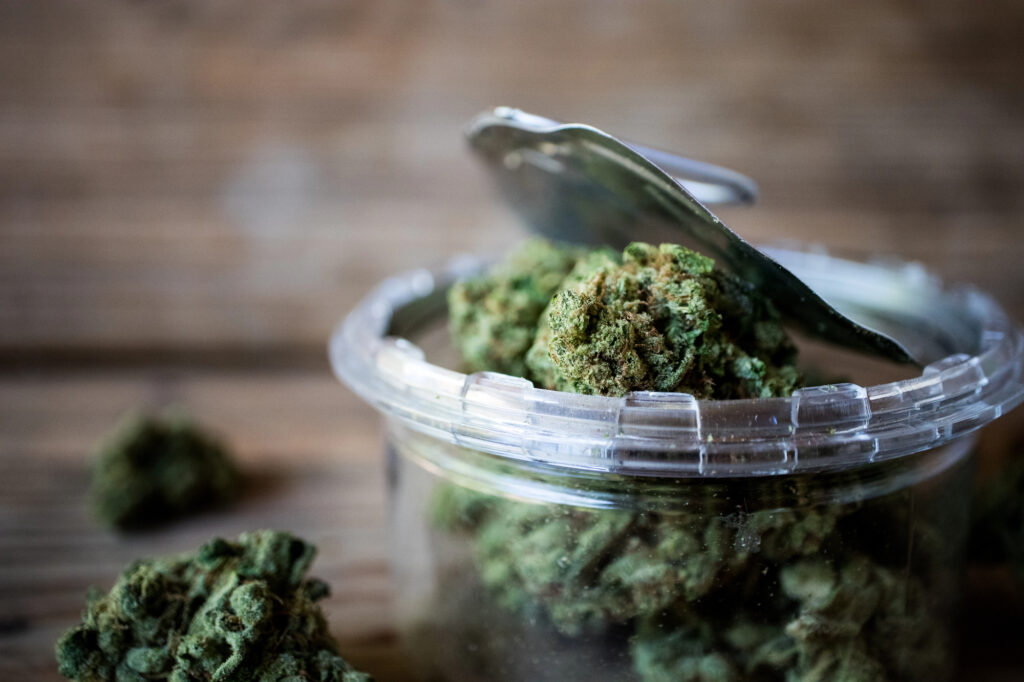 Vous cherchez un dispensaire près de Deux Montagnes Essayez Bear's Den Cannabis