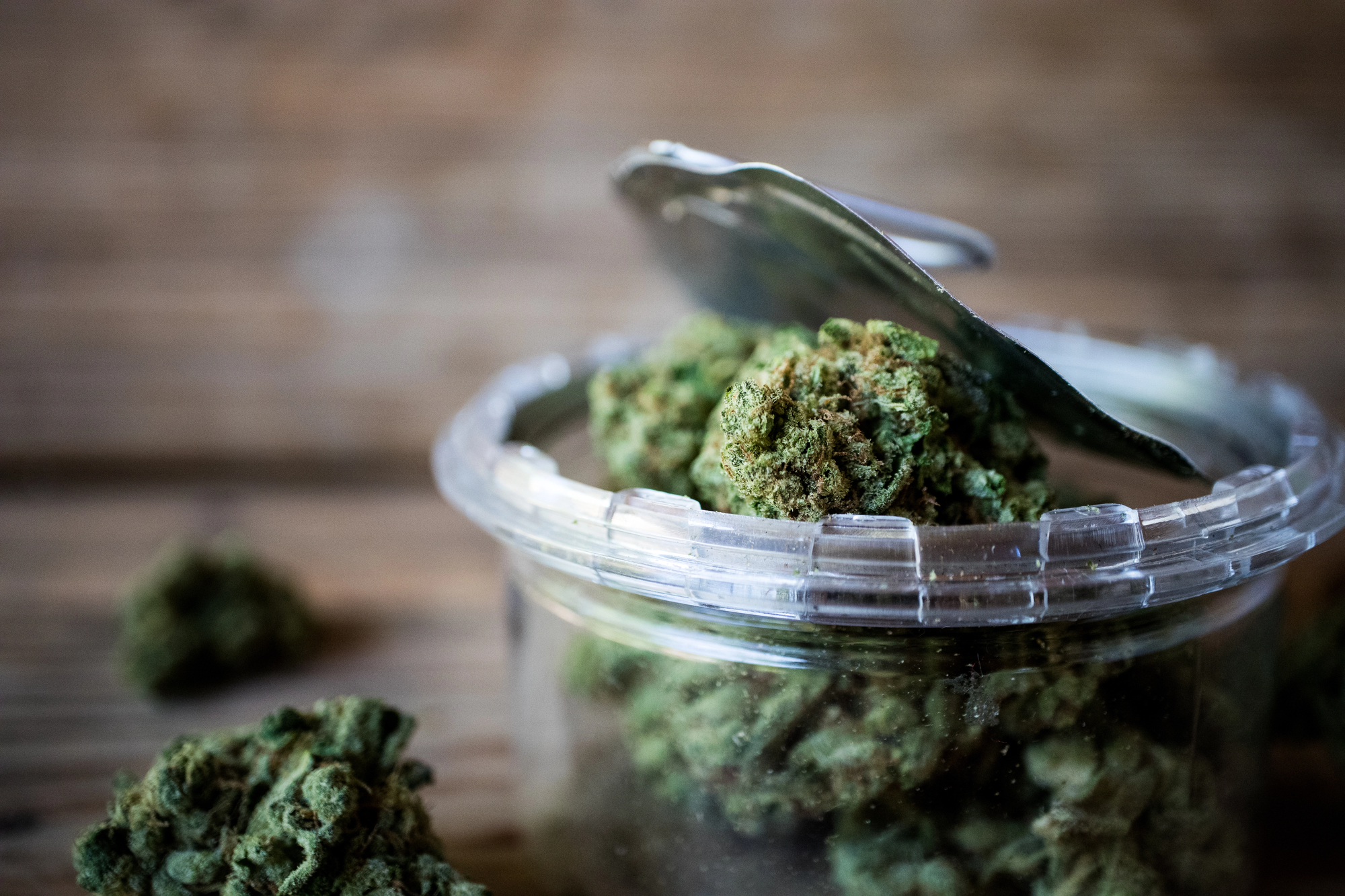 Vous cherchez un dispensaire près de Deux Montagnes Essayez Bear's Den Cannabis